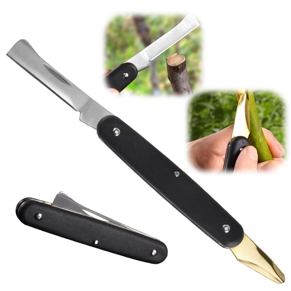 Fruit And Vegetable Grafting M - Fruit Slot Machine ulasan dan harga