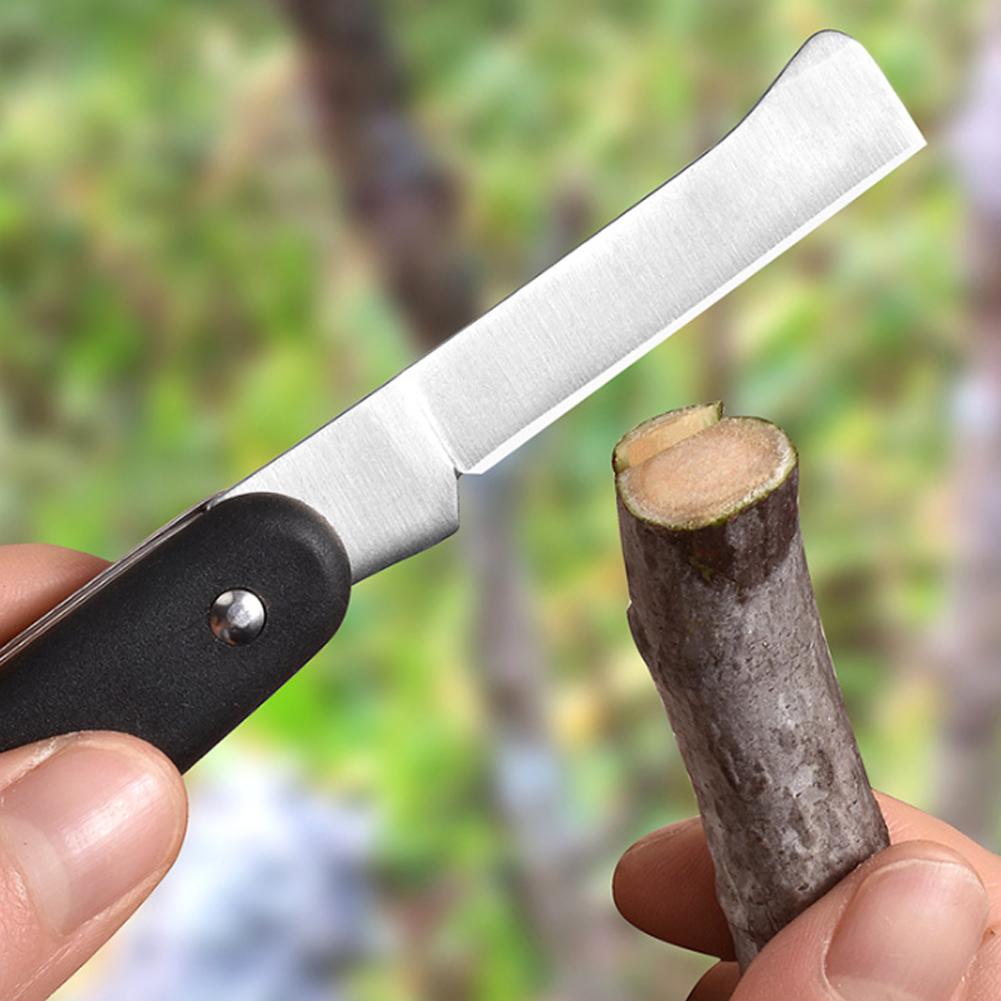 Fruit And Vegetable Grafting M - Fruit Slot Machine ulasan dan harga