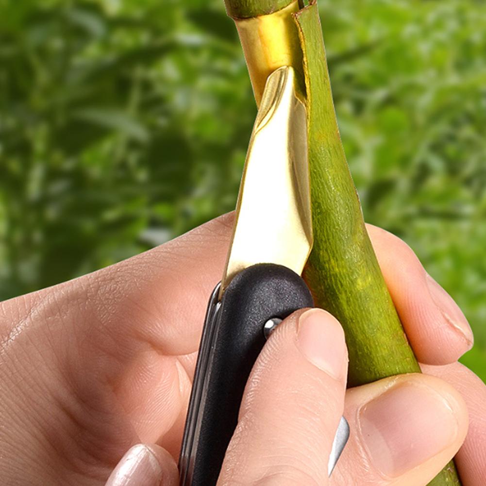 Fruit And Vegetable Grafting M - Fruit Slot Machine ulasan dan harga