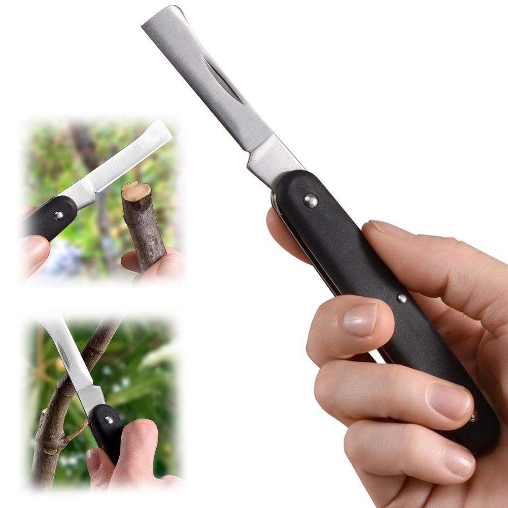 Fruit And Vegetable Grafting M - Fruit Slot Machine ulasan dan harga